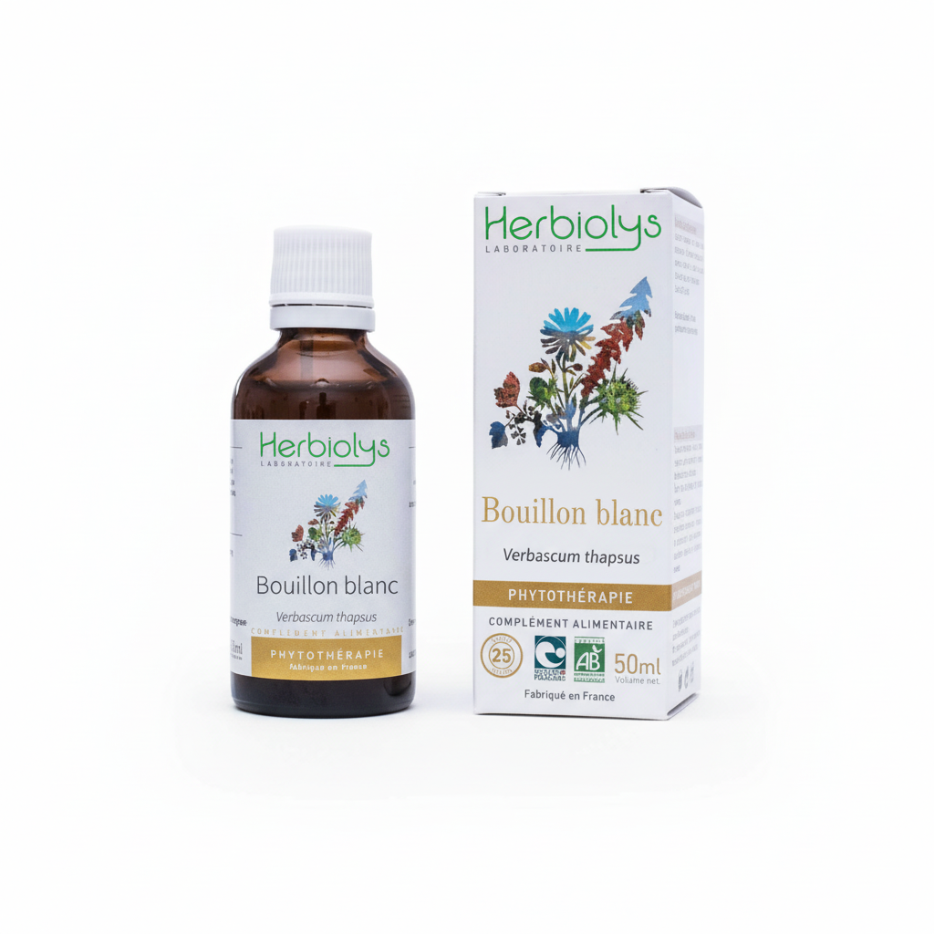 Bouillon blanc phyto 50ml