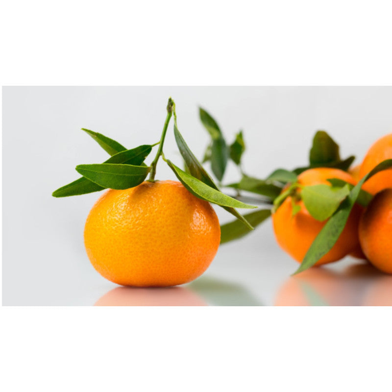 Clémentine mandarine france - par 500g